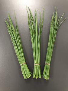 En cuisine : Finement cisel&eacute;e, elle apporte son ar&ocirc;me d&eacute;licat au fromage blanc, se marie tr&egrave;s bien avec toutes sortes de salades,... 