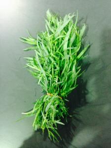 En cuisine : Cette plante aromatique accompagne les omelettes, les soupes, le poisson, le poulet, les farces, les fromages frais ou certaines salades.... 