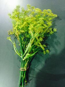 En cuisine : Le fenouil s&rsquo;utilise traditionnellement avec les poissons et les crustac&eacute;s, mais les feuilles fra&icirc;ches ou les tiges peuvent... 