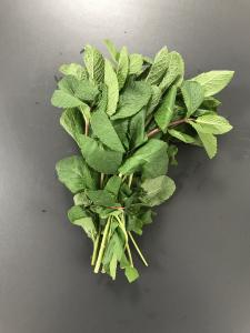 En cuisine : Elle accompagne &agrave; merveille la gel&eacute;e ou la sauce &agrave; la menthe, le mouton r&ocirc;ti, les viandes bouillies ou l'agneau,... 