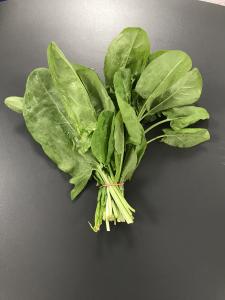 En cuisine : Les jeunes feuilles &eacute;tant moins acides, elles peuvent se consommer crues, en salade, ou accompagner des sandwiches. Leur go&ucirc;t... 