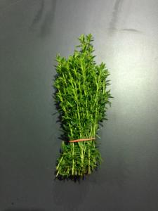 En cuisine : La sarriette s'utilise en cuisine pour parfumer les l&eacute;gumes secs dont elle rehausse le go&ucirc;t et facilite la digestion gr&acirc;ce... 