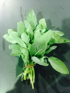 En cuisine : Les fleurs trouvent leur utilisation en d&eacute;coration de plats et notamment des salades, et en infusion. Les feuilles de sauge accompagnent... 