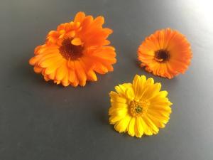 En cuisine : Les p&eacute;tales accompagnent les crudit&eacute;s, les salades, secs ils s&rsquo;ajoutent au riz, au fromage, au beurre qu&rsquo;ils colorent... 