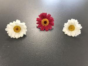 La marguerite peut &ecirc;tre utilis&eacute;e en d&eacute;coration sur les petits g&acirc;teaux, enti&egrave;re ou effeuill&eacute;e.
