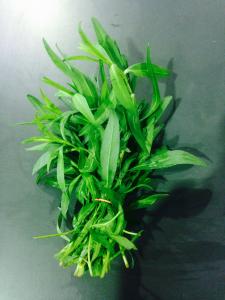 Son go&ucirc;t se rapproche un peu de celui du fruit de la passion. Son parfum rappelle le curry.
On utilise la&nbsp;tag&egrave;te&nbsp;dans les potages,... 